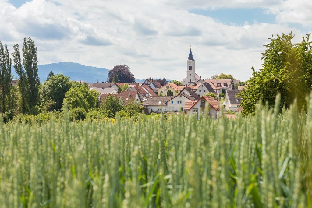 Alemannenhof Hotel Schallstadt Eksteriør billede